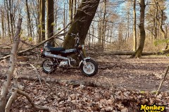 IMG_9486